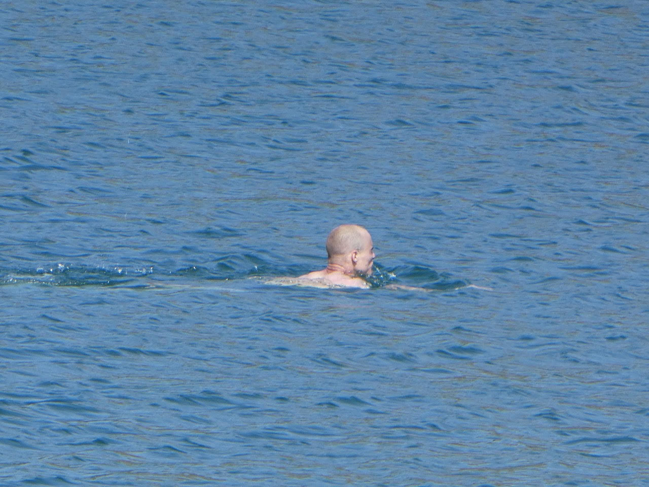 Man who went swimming in Silver Lake Reservoir Photos by Sandy Driscoll 6-4-2019 5-09-46 PM.jpg